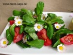 Gänseblümchen-Feldsalat_10P