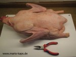 Gans-Zange_400x300