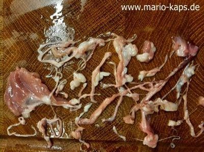 Gänseschmalz - Parüren vom Gänseflomen - Häutchen und Fleisch